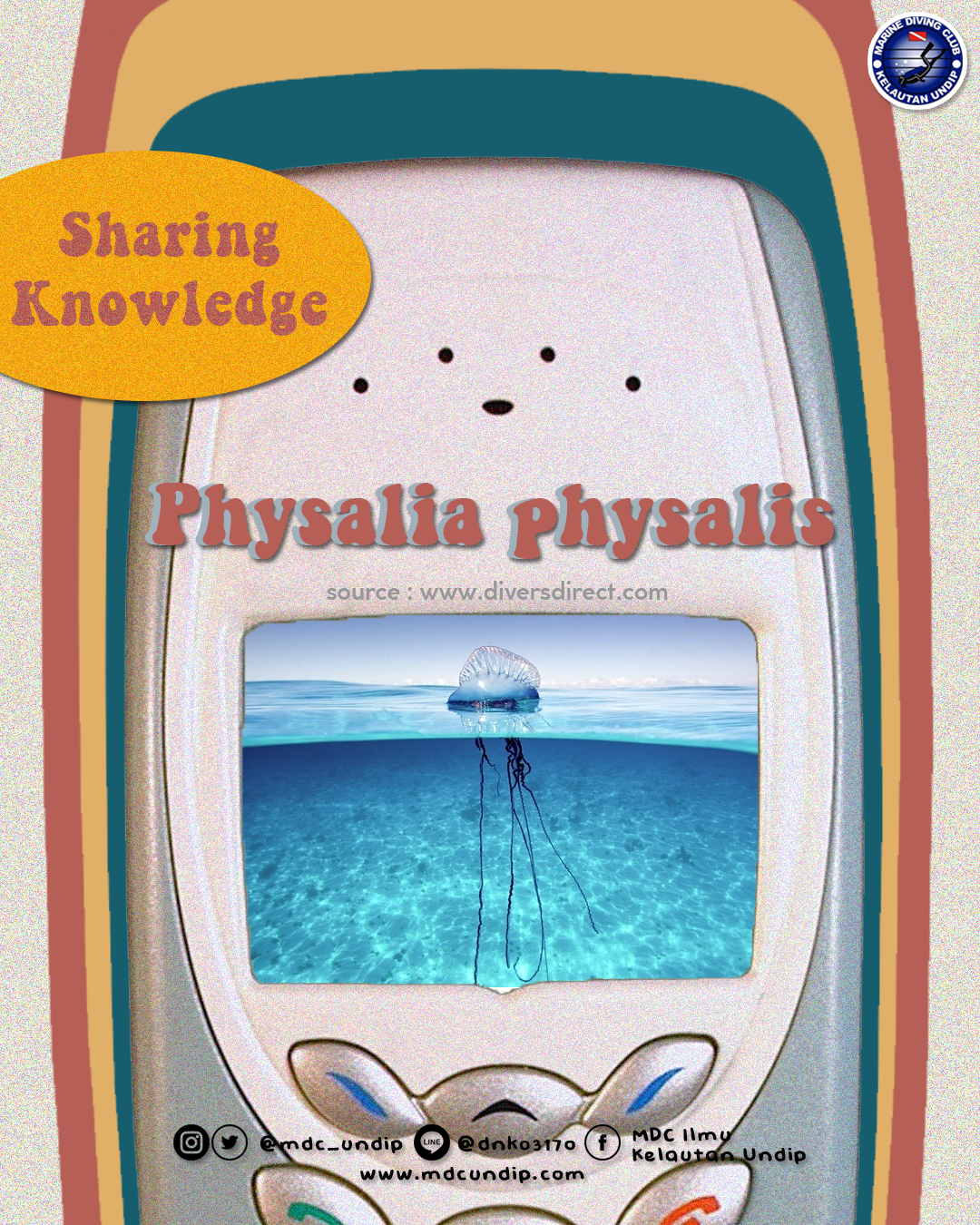 Physalia physalis, si ubur-ubur api yang cantik tapi menyengat